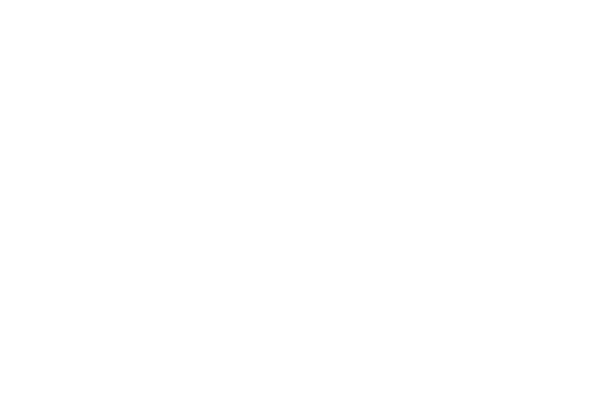 Verizon